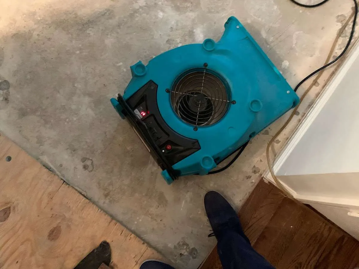 Air mover drying subfloor during Commercial Water Damage Restoration in West Livingston